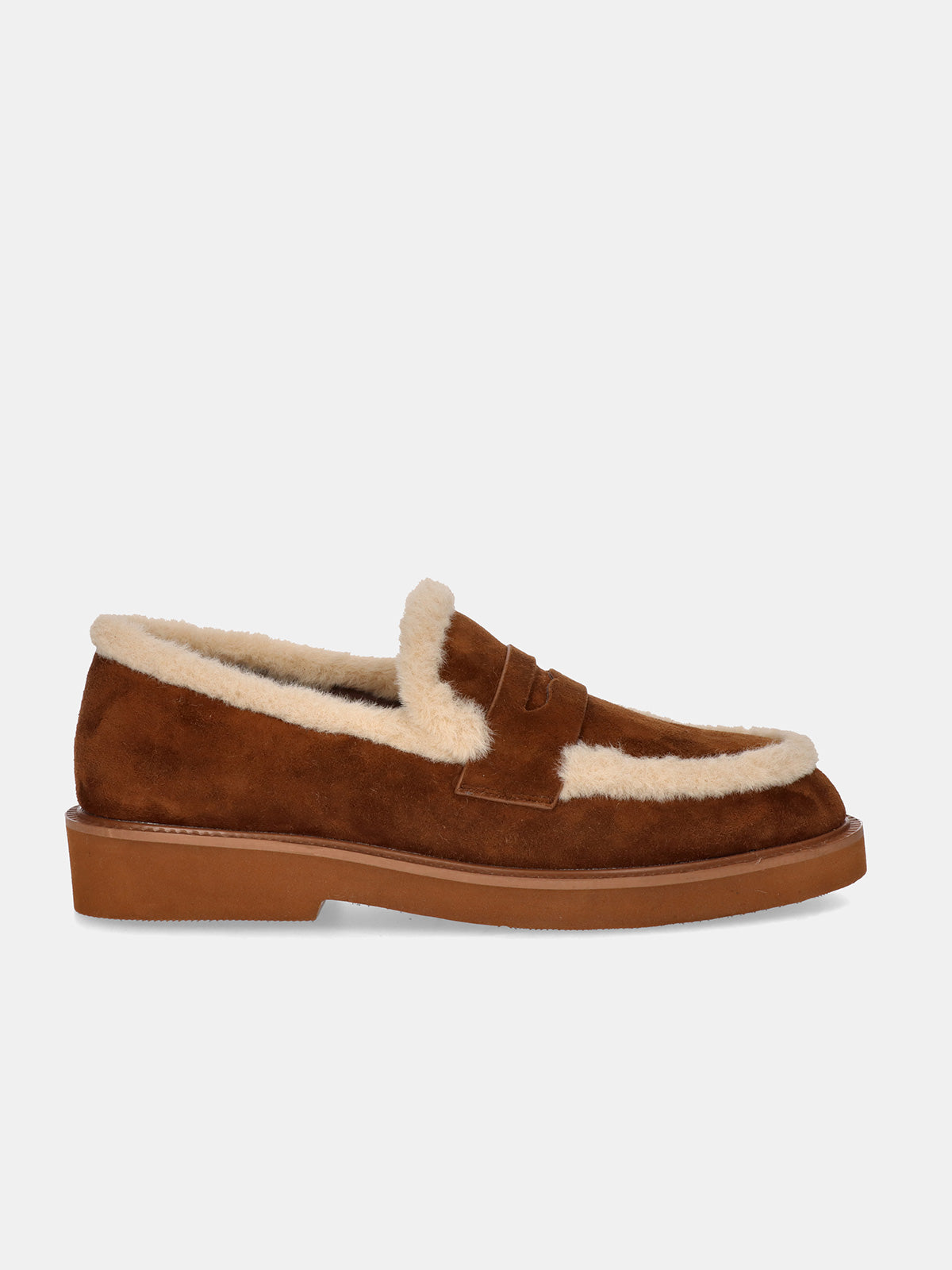 BERTA-297 ANTE CAMEL