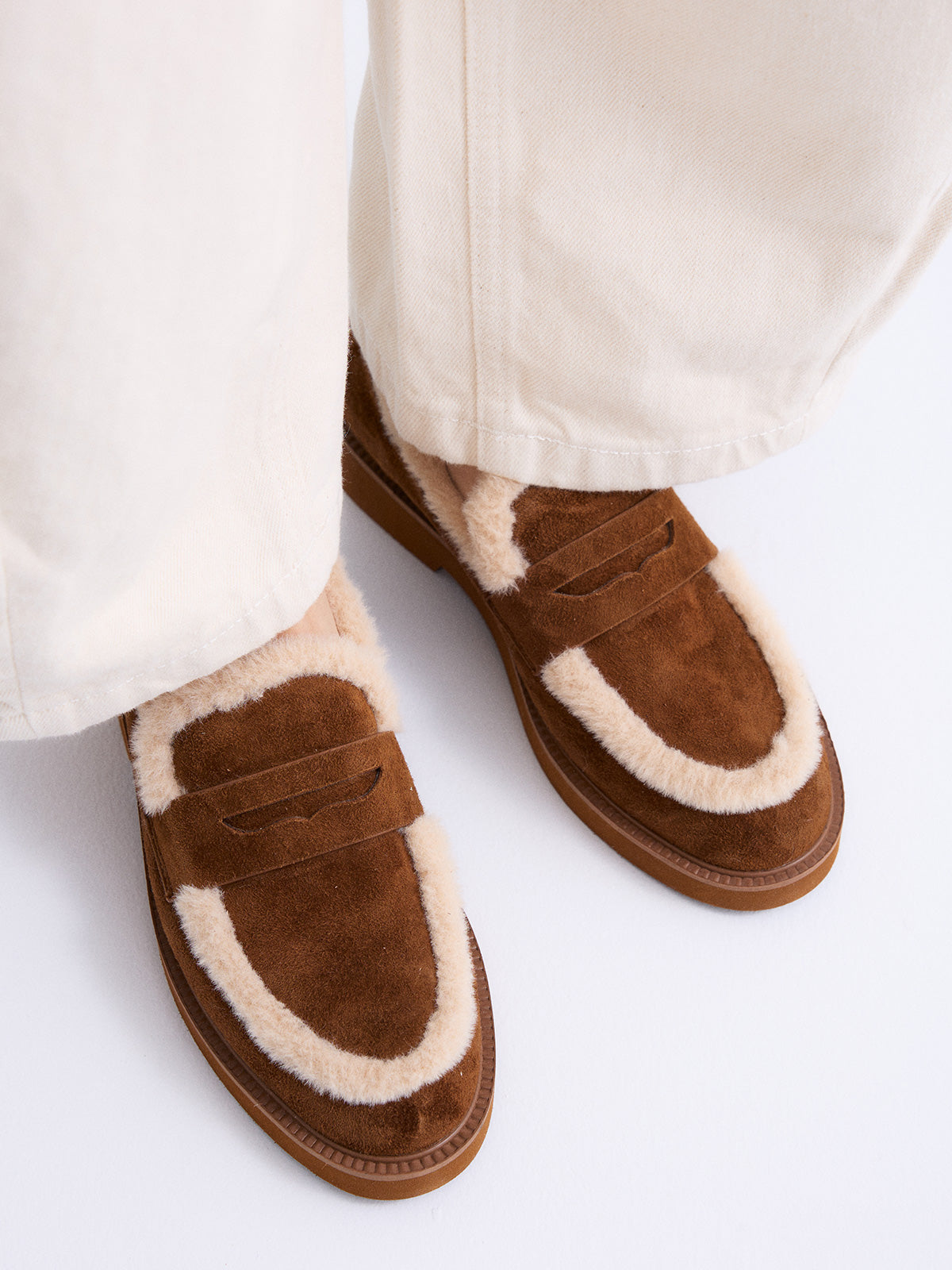 BERTA-297 ANTE CAMEL