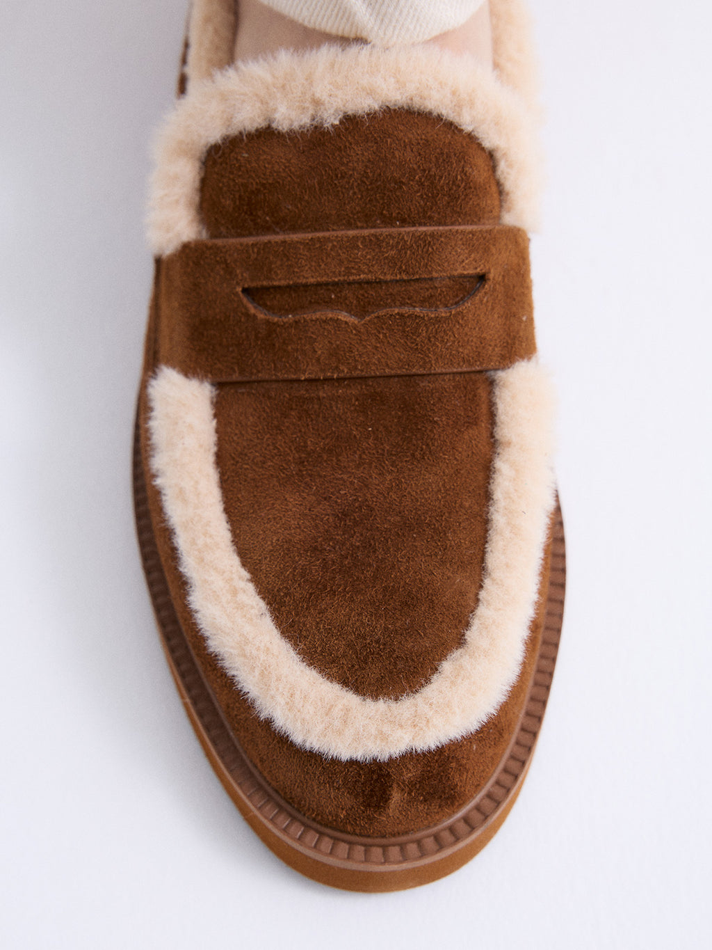 BERTA-297 ANTE CAMEL