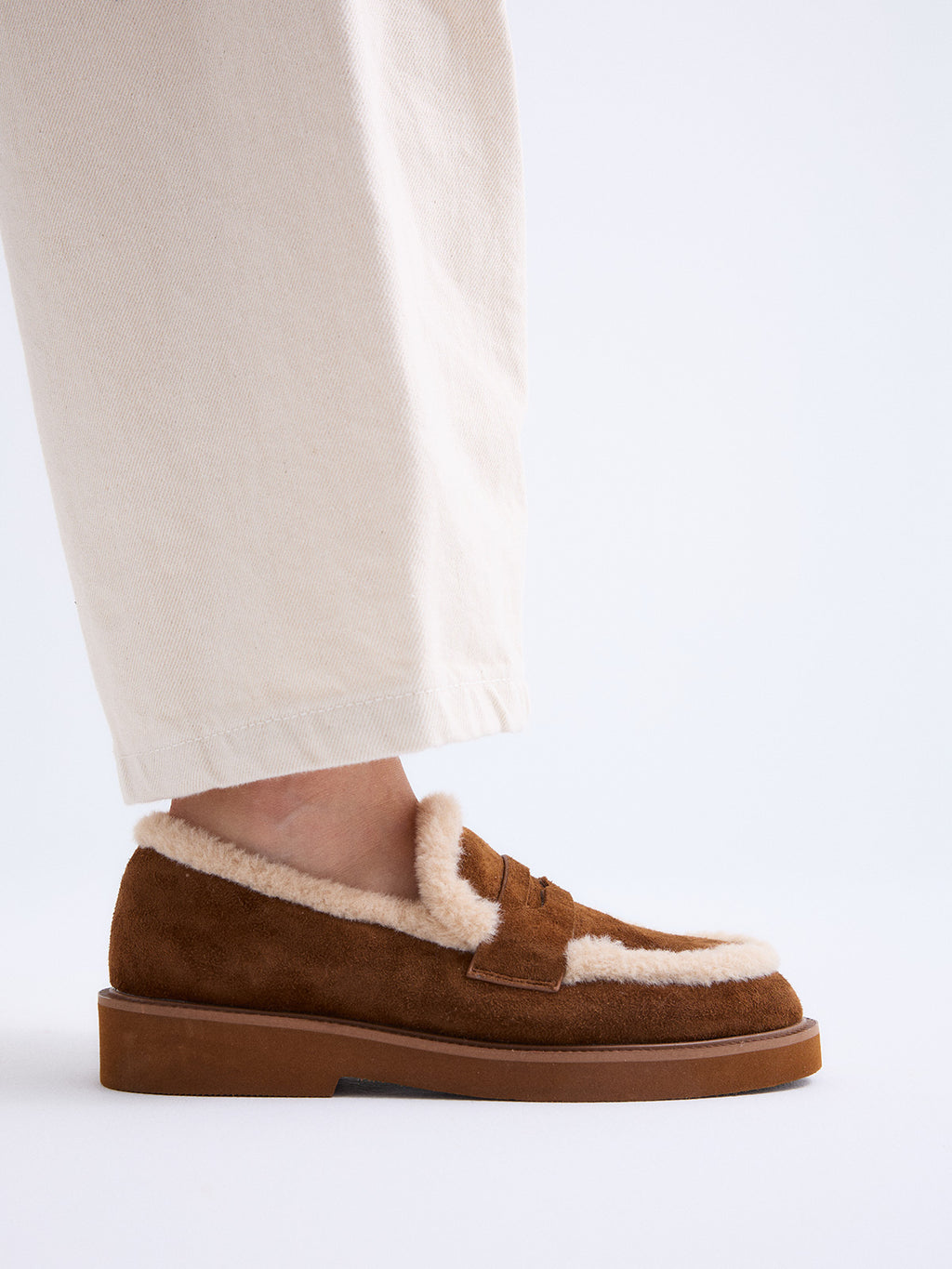 BERTA-297 ANTE CAMEL