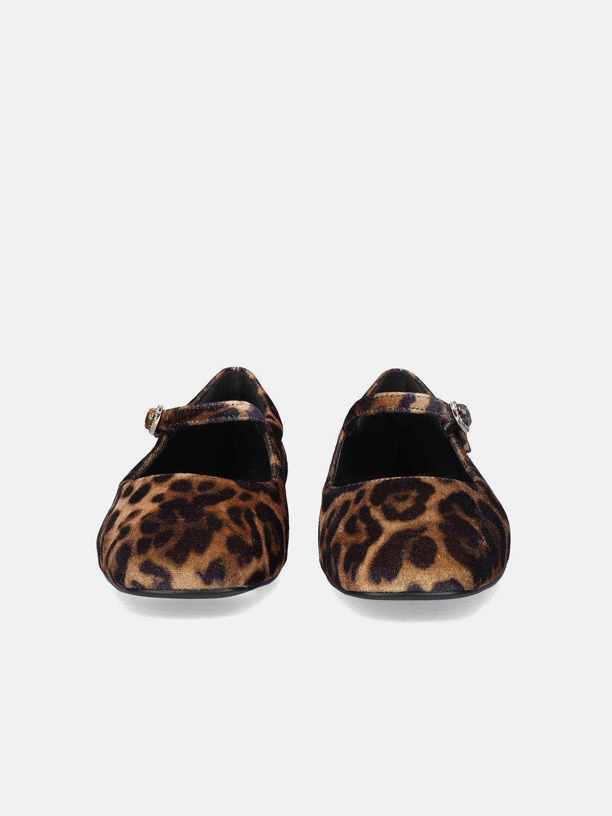 CELIA-2534 VELVET LEOPARD
