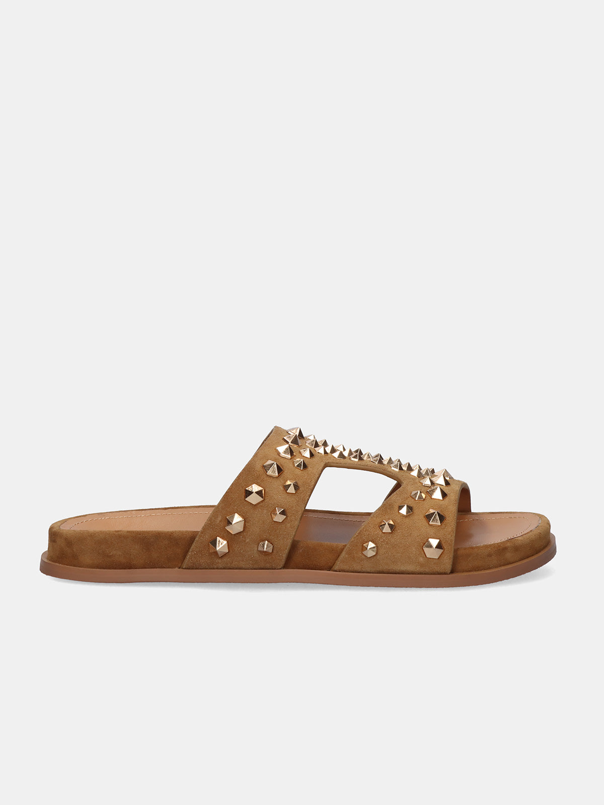 LUNA-3647 ANTE CAMEL