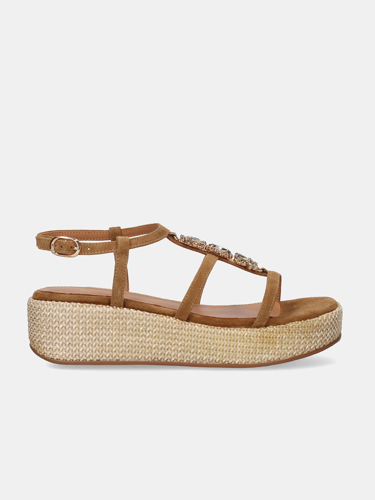 MABEL-3886 ANTE CAMEL