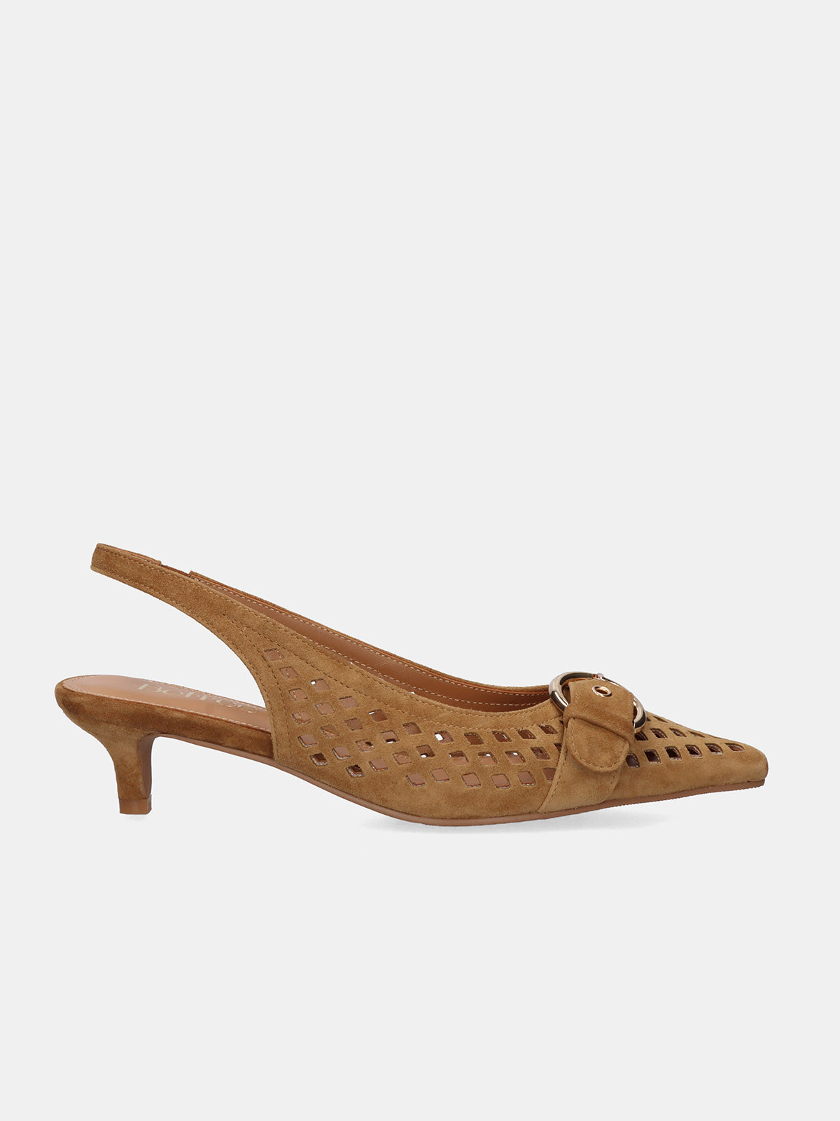 NINA-3381 ANTE CAMEL