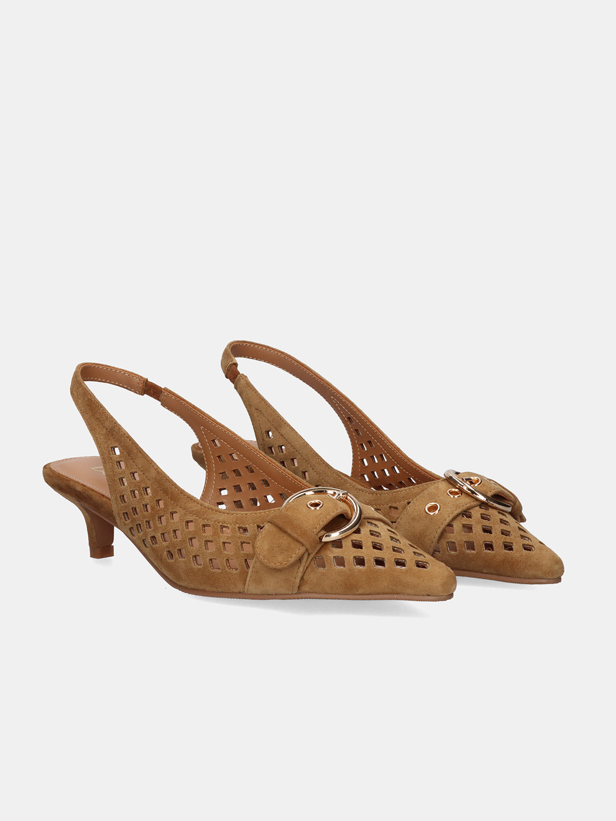 NINA-3381 ANTE CAMEL