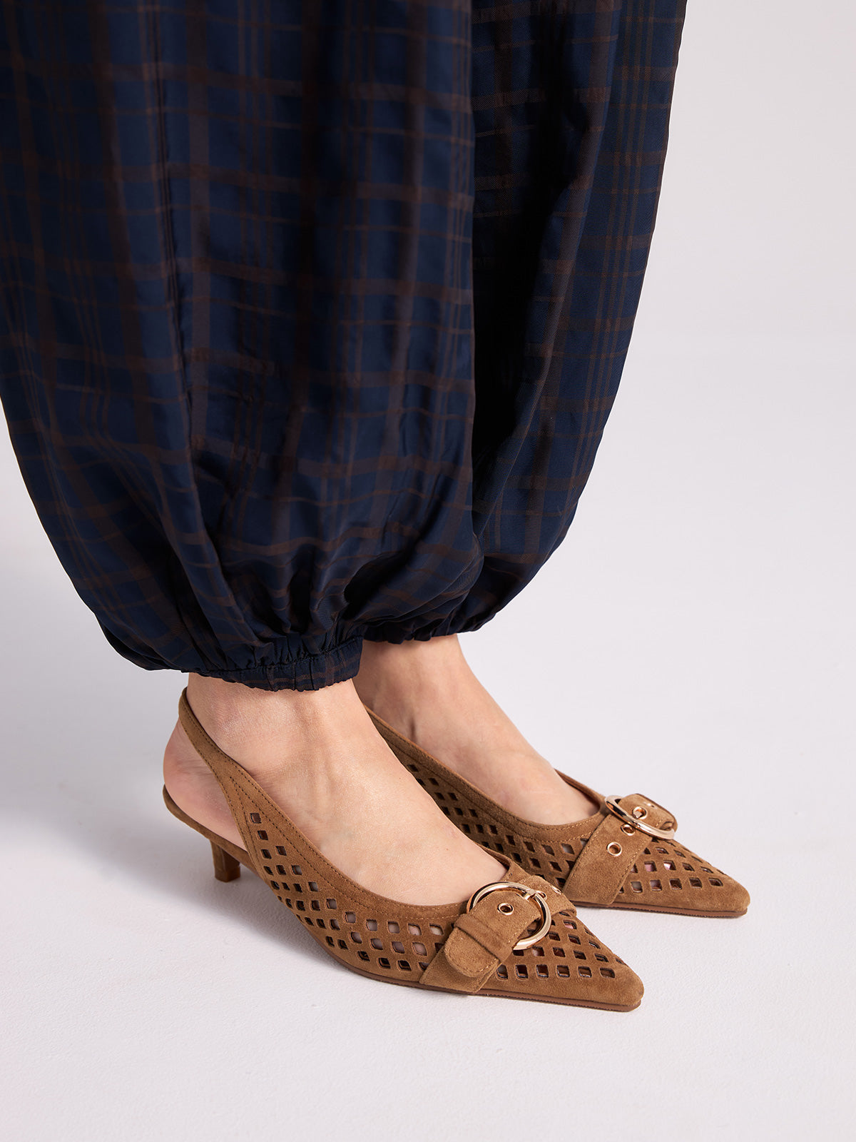 NINA-3381 ANTE CAMEL