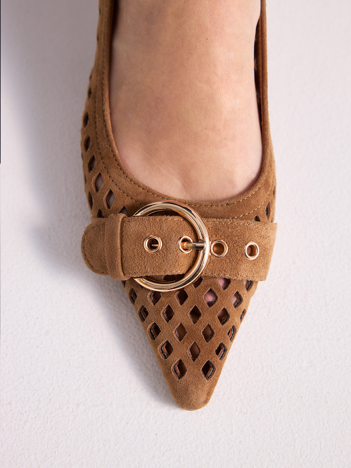 NINA-3381 ANTE CAMEL