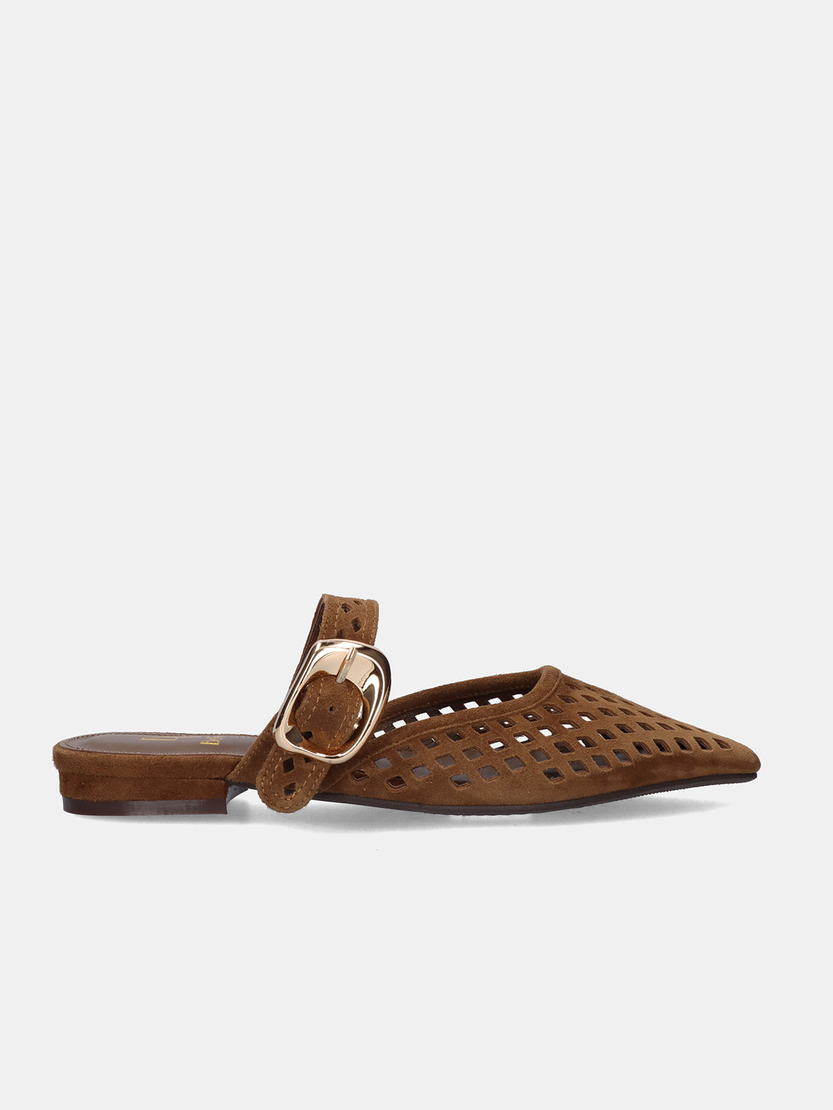 SIENA-3370 ANTE BROWN