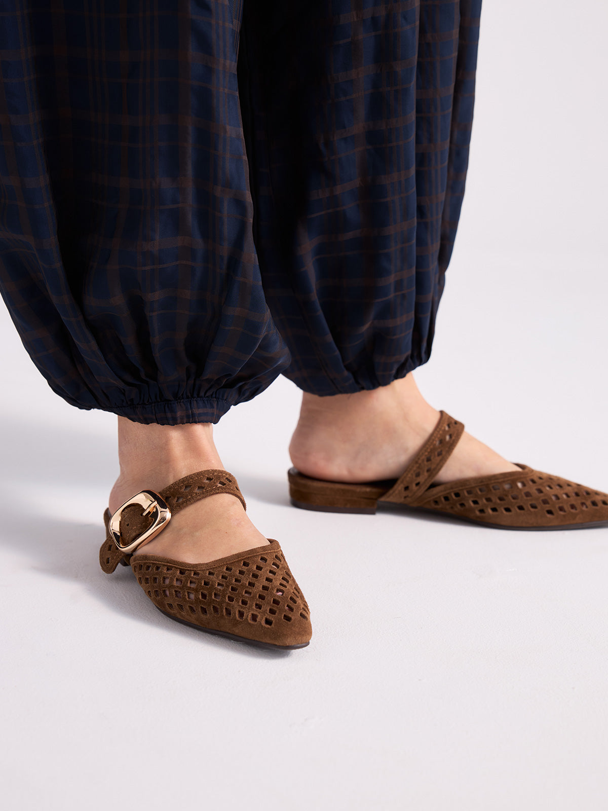 SIENA-3370 ANTE BROWN